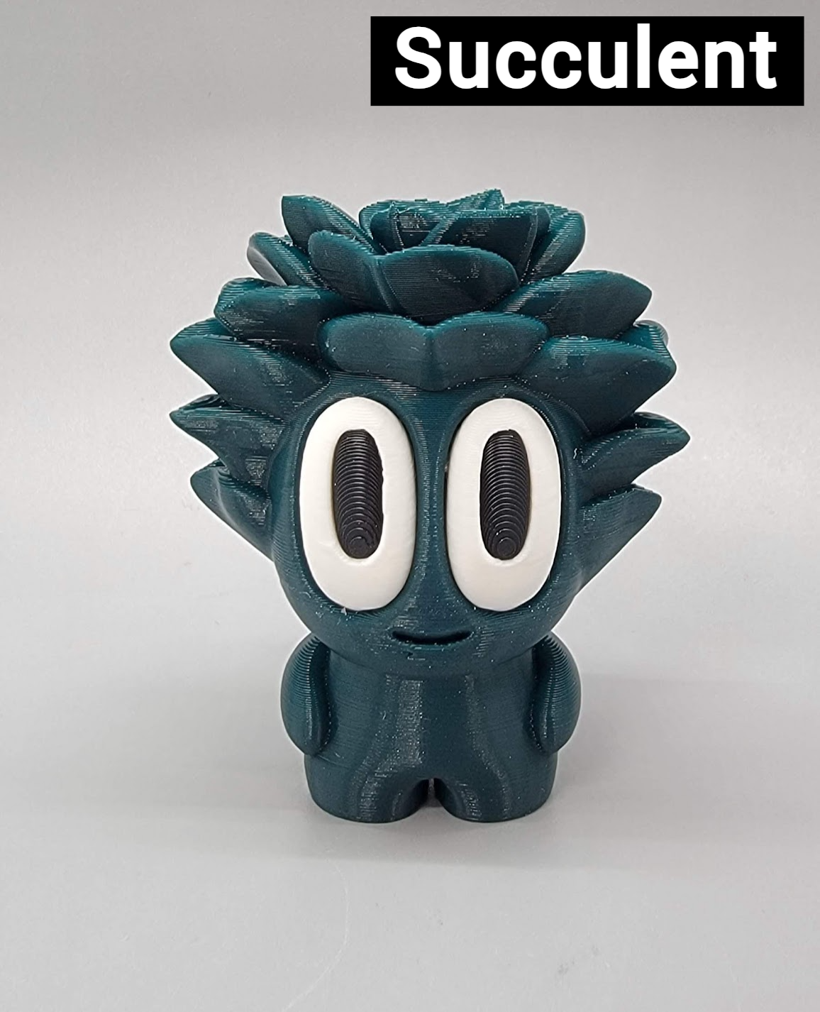 Adopt a Plant Pet with Pot | Custom Colors Available