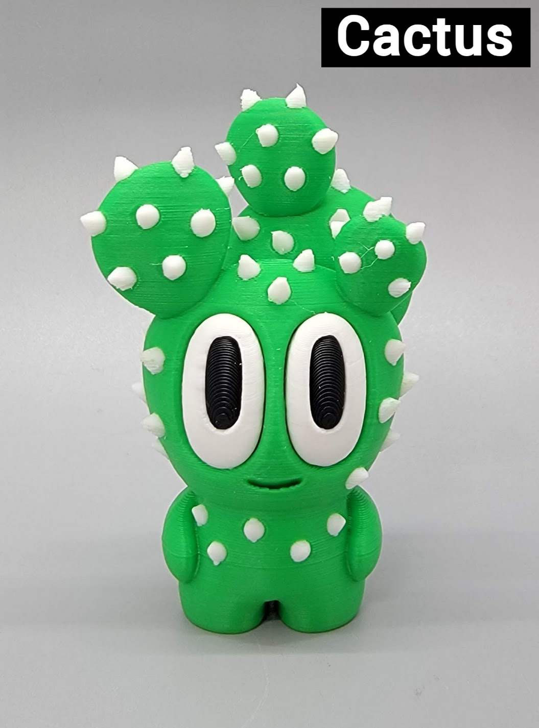 Adopt a Plant Pet with Pot | Custom Colors Available