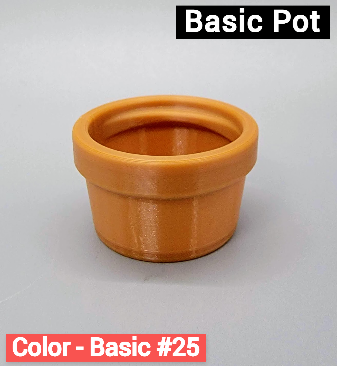 Adopt a Plant Pet with Pot | Custom Colors Available