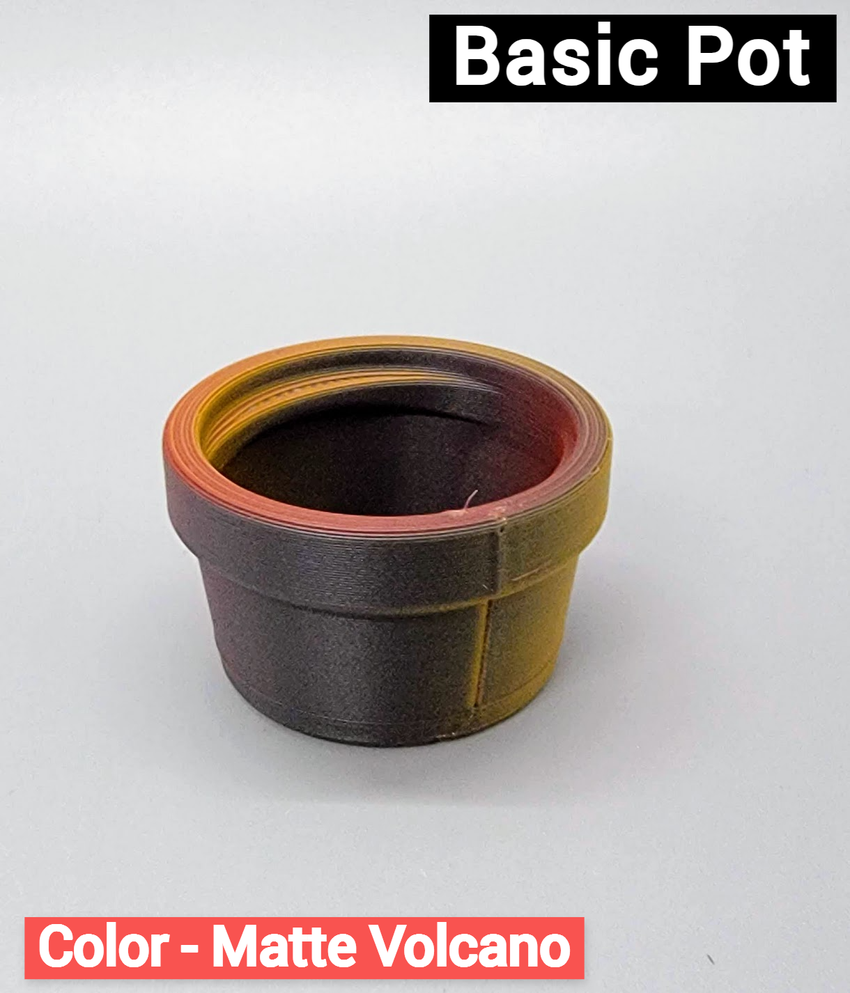 Adopt a Plant Pet with Pot | Custom Colors Available