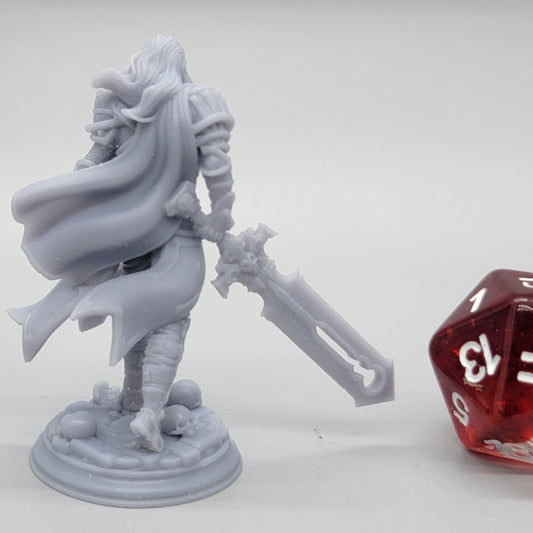 Ser Gaston – Vampire Fighter