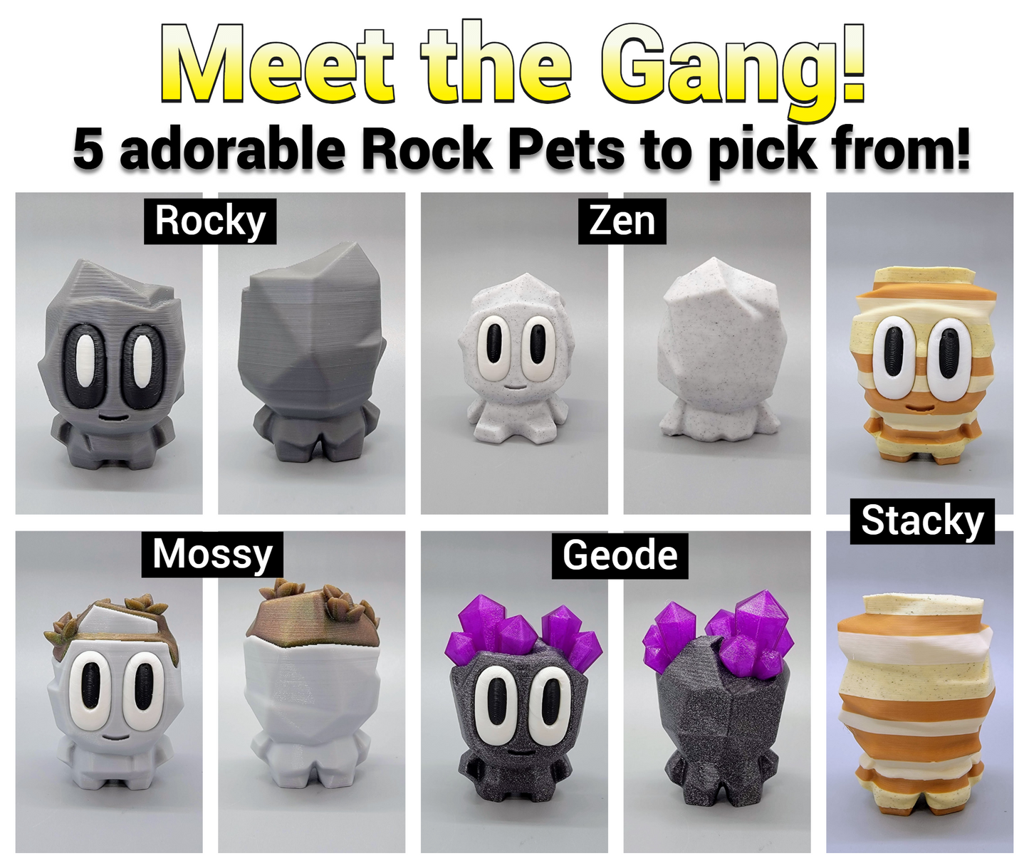 Mascota con jaula Adopt-a-Rock | Colores personalizados disponibles