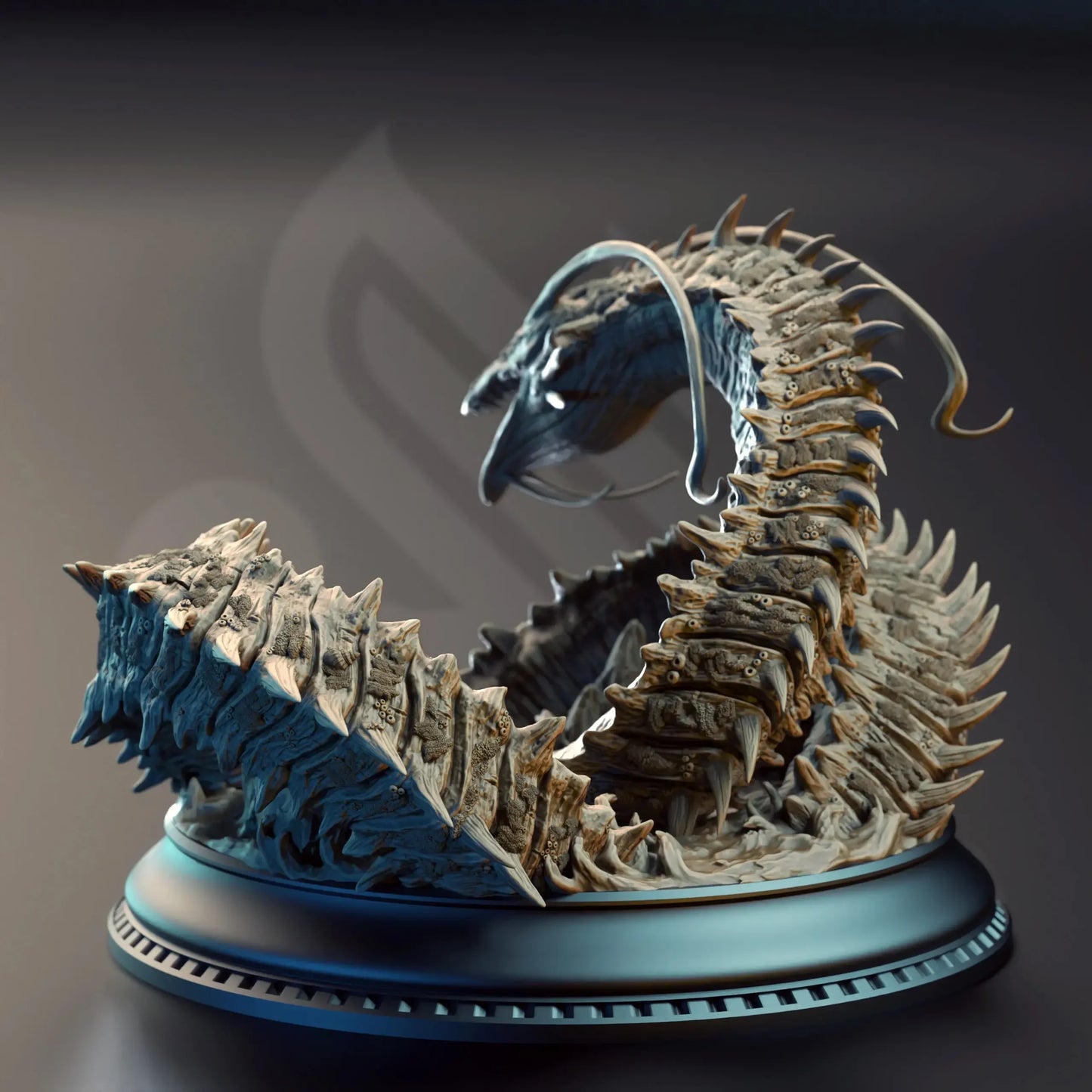 Rear view of Old Mawgrin highlighting ridged spine and curling body