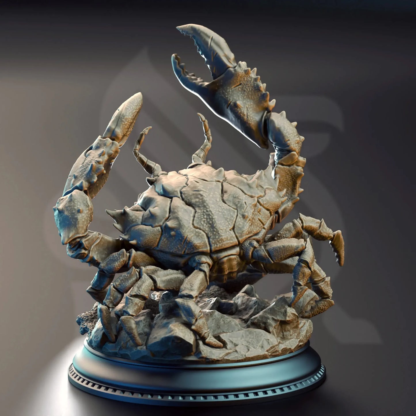 Rear view of Snippy Bladeclaw Crab showing textured carapace and legs