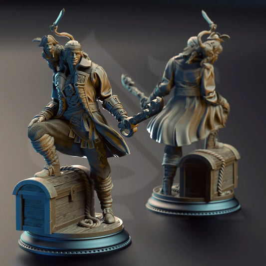 Rear view of Ervin showing flowing coat, monkey companion, and treasure detail