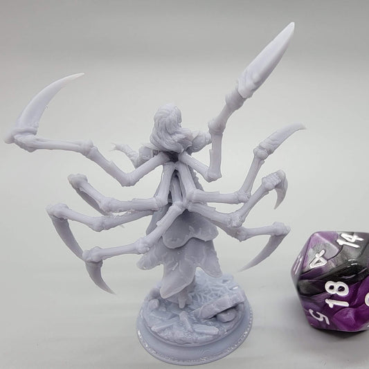 Dirthana of the Void’s Embrace – Ascended Spider Sorceress