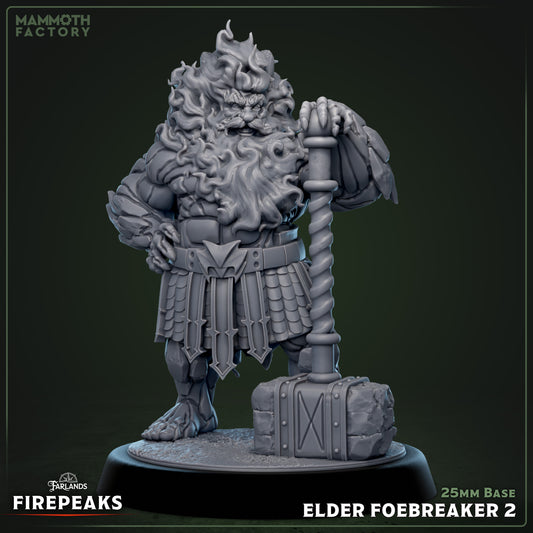Elder Foebreaker resin miniature with axe and hammer poses on 25mm base.