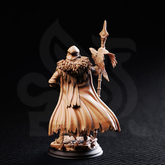 Odin The One Eyed Wanderer resin miniature for D&D and Pathfinder, available in 32mm and 75mm scales from D&K Custom Prints