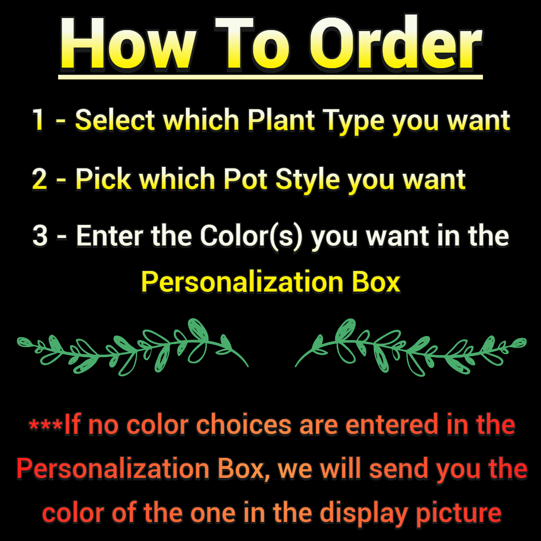 Adopt a Plant Pet with Pot | Custom Colors Available