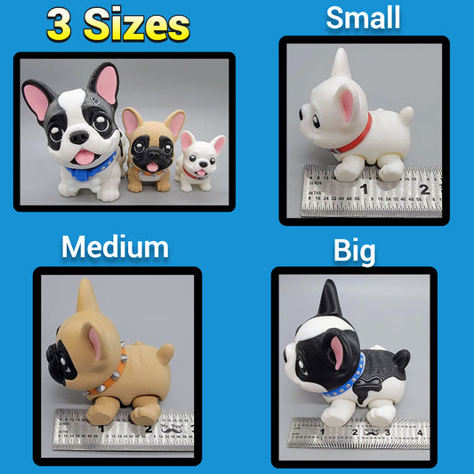 Boston Terrier & Frenchie Puppy