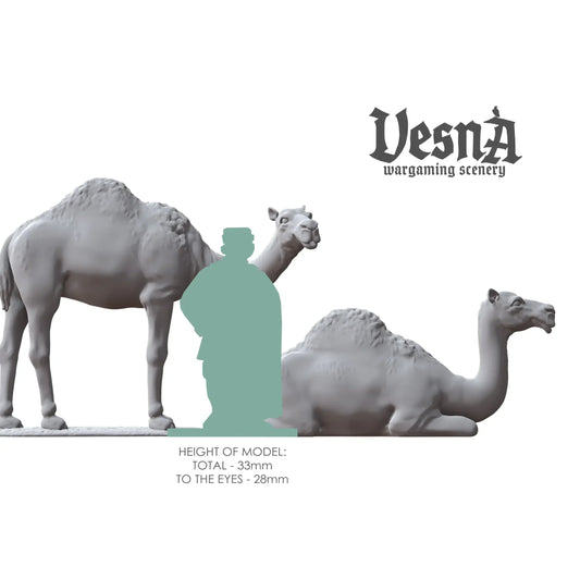 Size chart showing camel miniatures next to human figure, 33mm tall resin farm animals for tabletop gaming