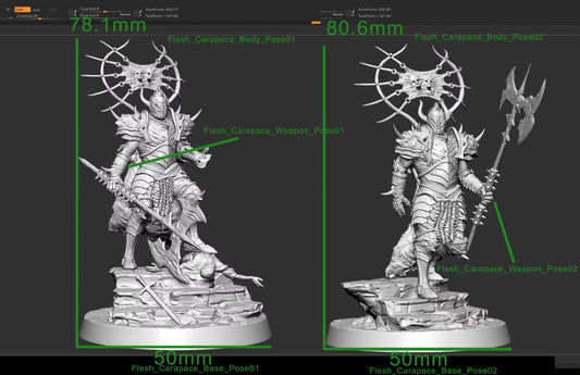 Flesh Carapace Pose 1 and Pose 2 Large undead miniatures with 50mm scenic bases and approximate heights of 78.1mm and 80.6mm.