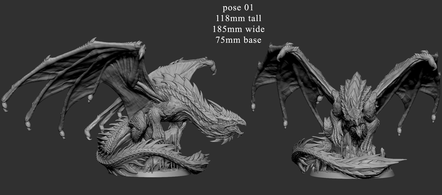 Dragón blanco adulto | 2 poses