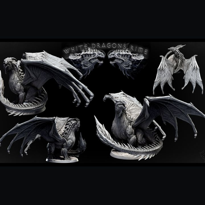 Dragón blanco adulto | 2 poses