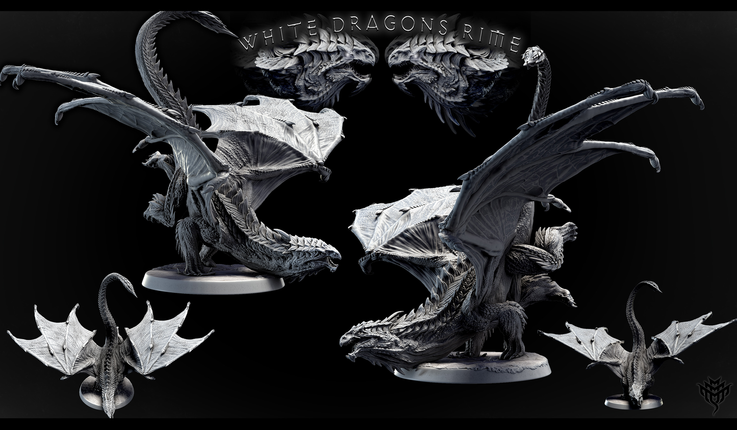 Adolescent White Dragon