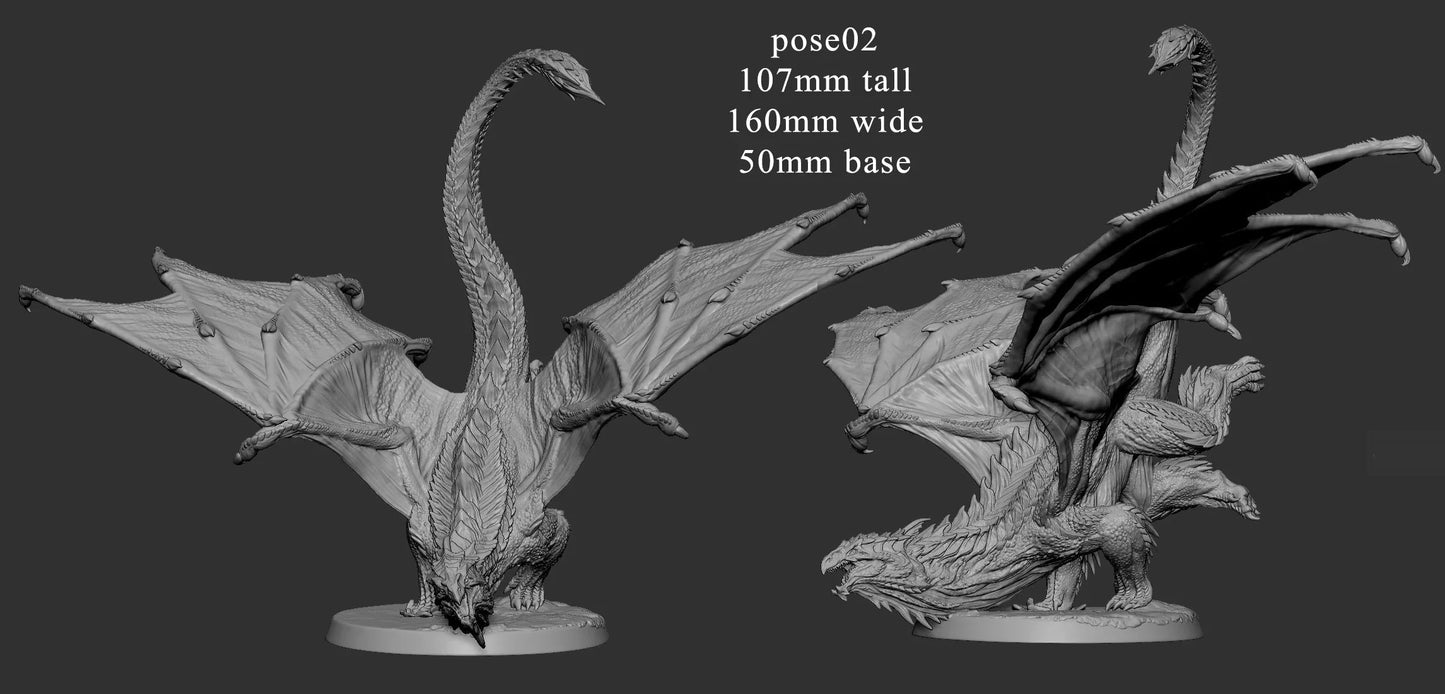 Adolescent White Dragon