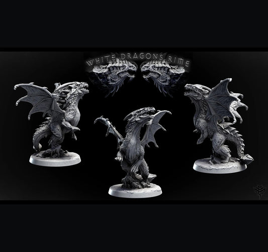 Young White Dragon