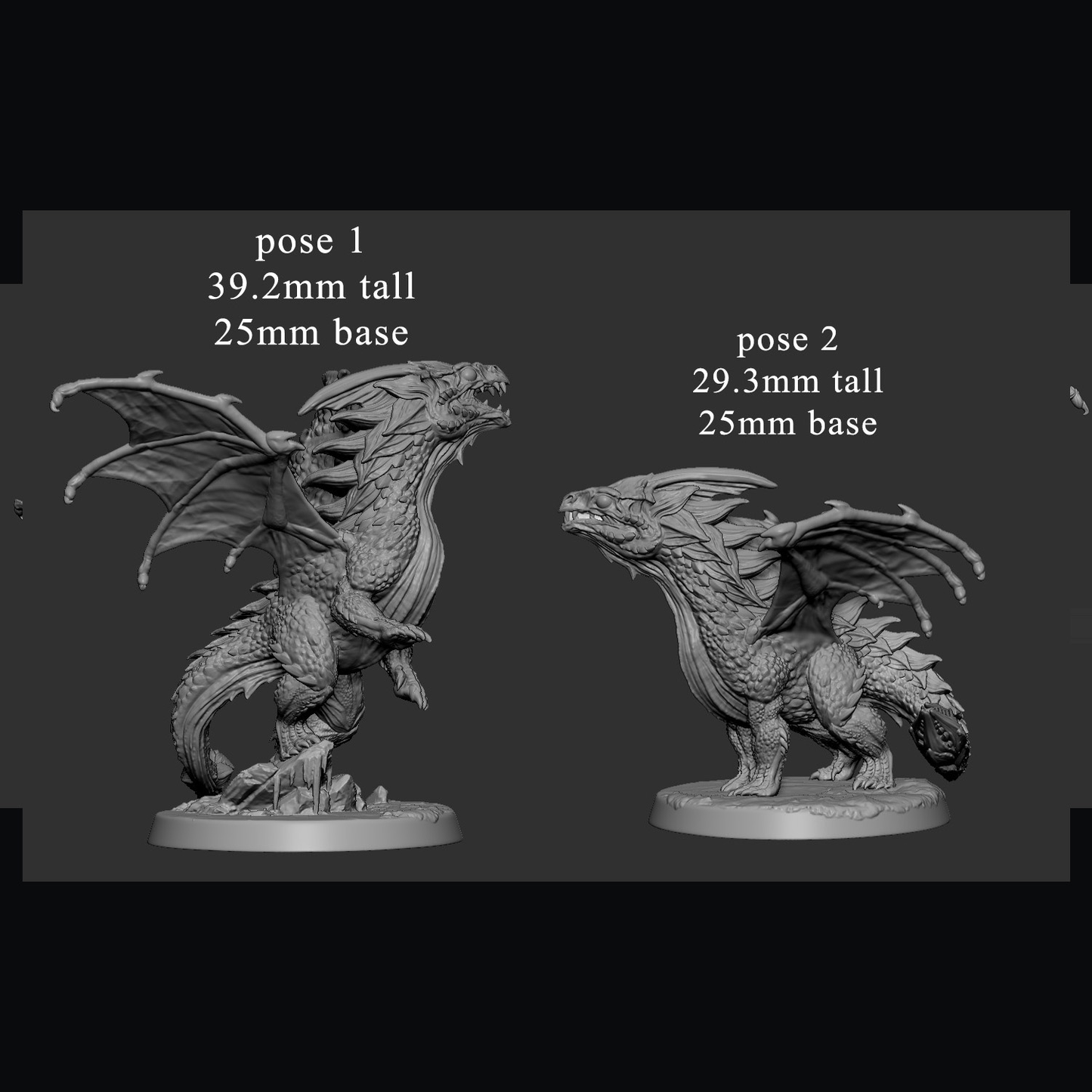 Young White Dragon