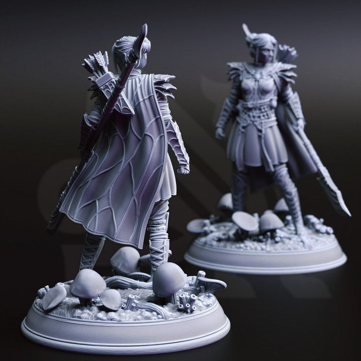 Drow Soldiers - Irinax's Chosen