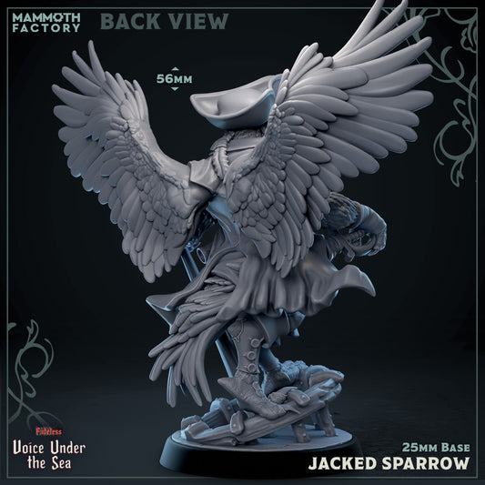 Back view of Jacked Sparrow Aarakocra pirate miniature showing large feathered wings and nautical clothing.