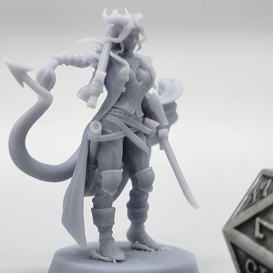 Sword Siren - Tiefling Fighter Rogue