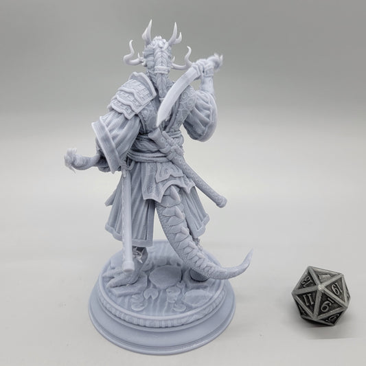 Ryuma - Dragonborn Fighter