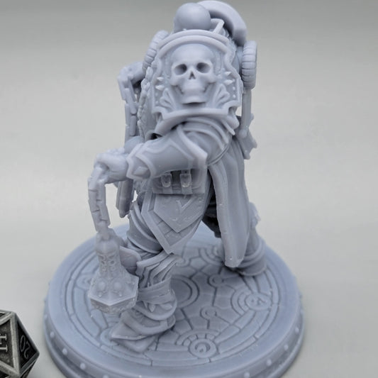 Tavian Holt armored Human Paladin miniature with heavy plate and chained weapon.