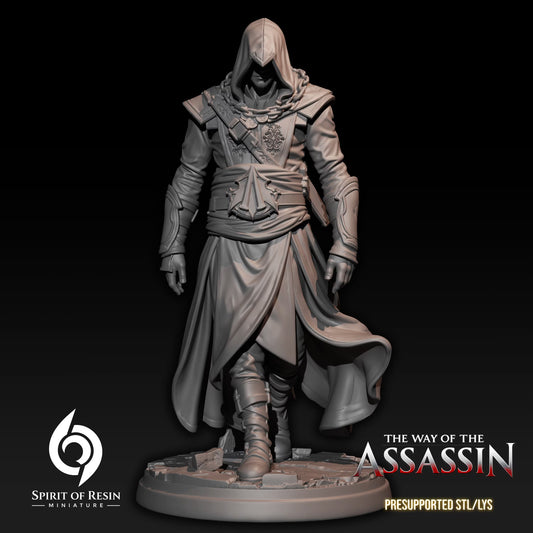 Leon, the Chained Assassin - Human Rogue