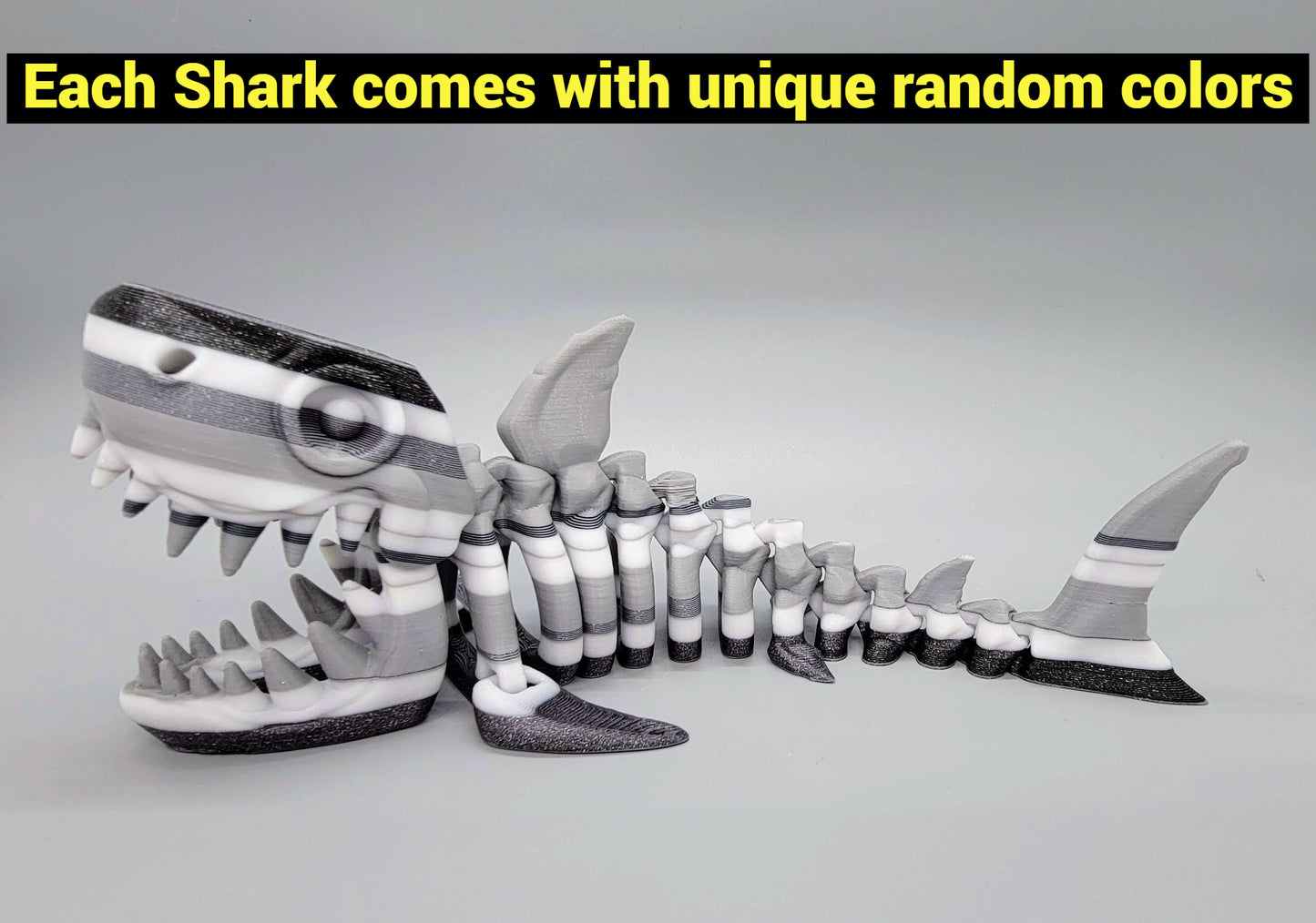 Ready to Ship Random Colors Skeleton Shark