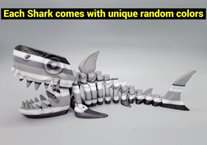 Ready to Ship Random Colors Skeleton Shark