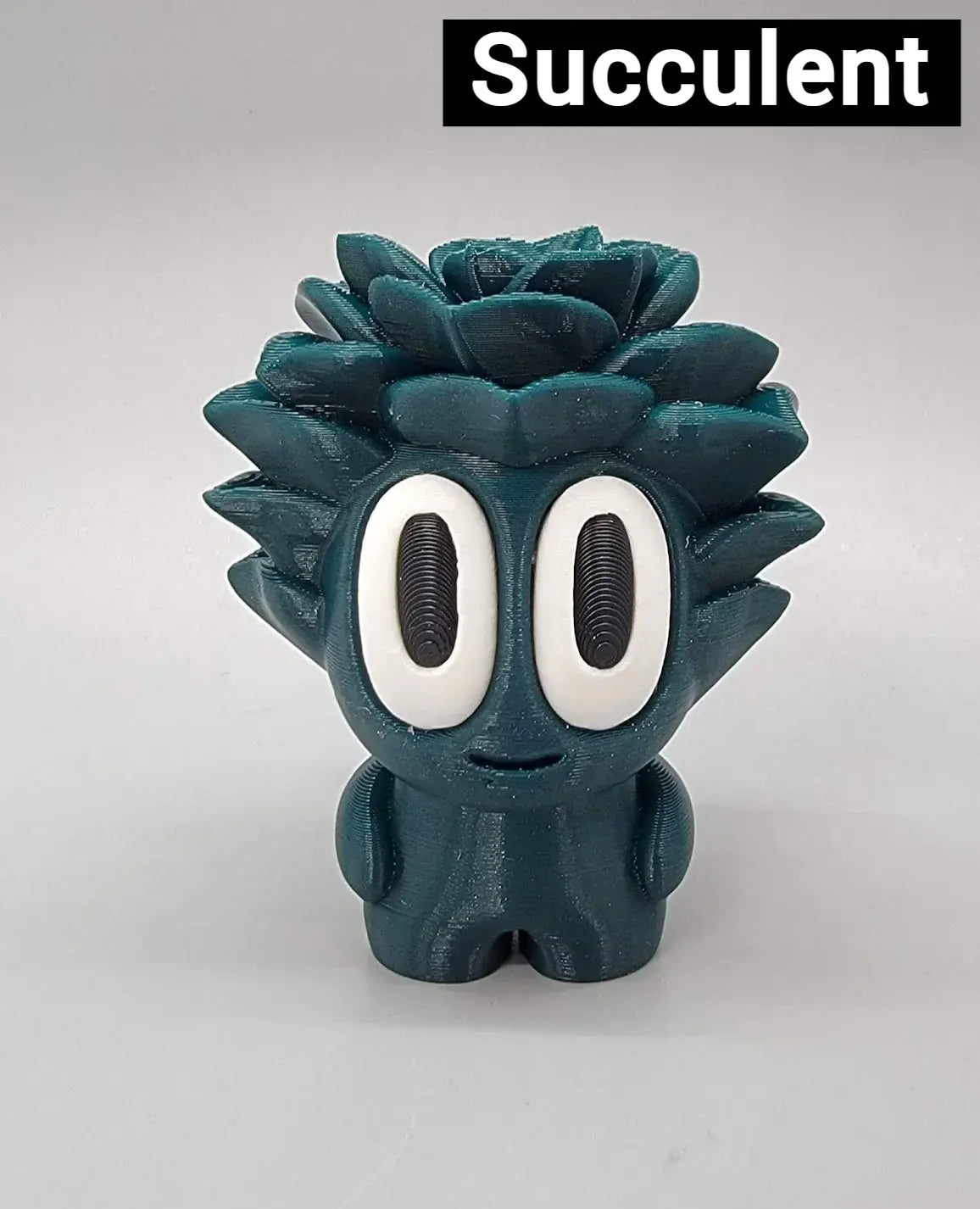 Adopta una Planta Mascota con Maceta