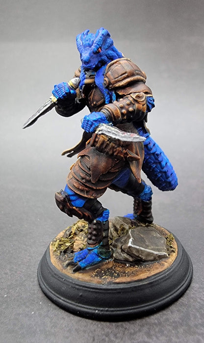 Dragonborn Rogue Assassin – Umbrascale