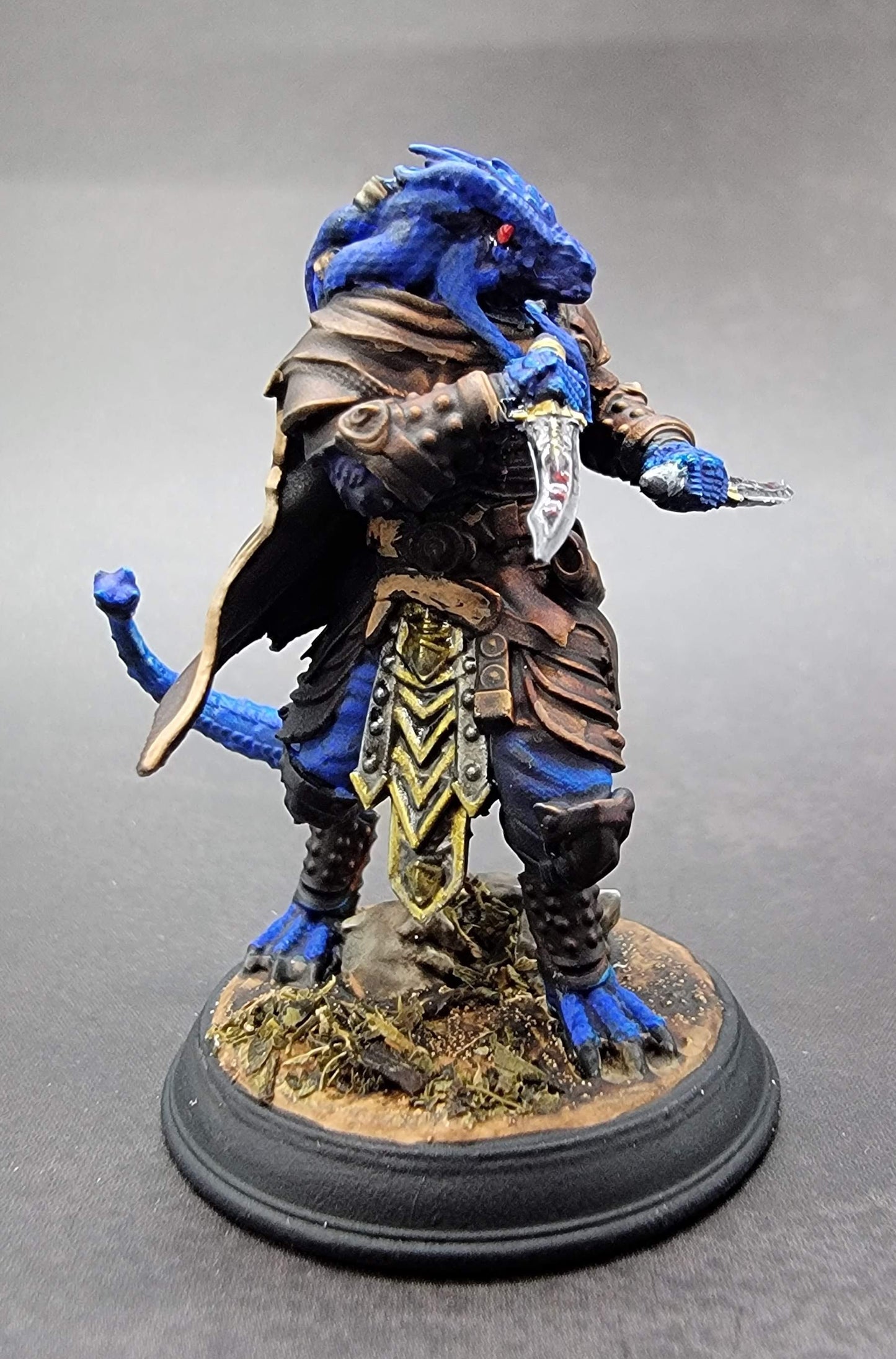 Dragonborn Rogue Assassin – Umbrascale