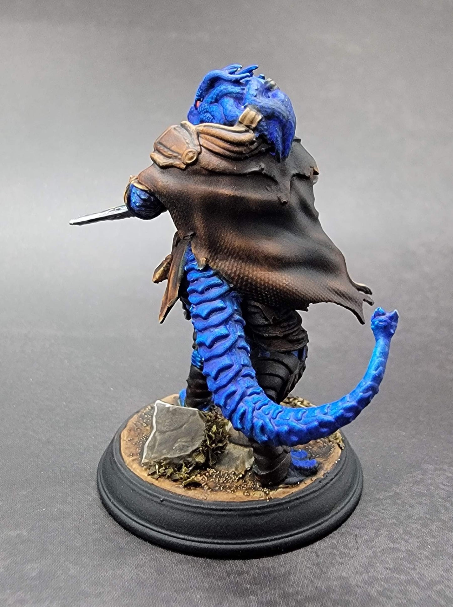 Dragonborn Rogue Assassin – Umbrascale