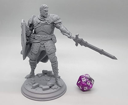 Lizarin the Nordic Nature Paladin