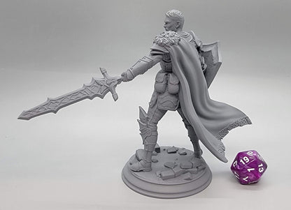 Lizarin the Nordic Nature Paladin