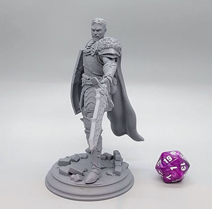 Lizarin the Nordic Nature Paladin