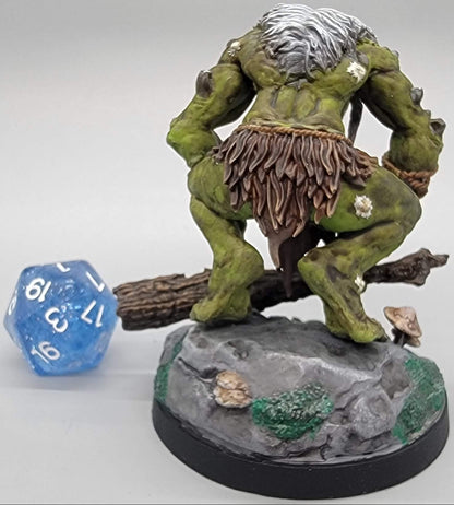 Hag Cursed Troll commissioned paint by D&K Custom Prints (warts as spiders sacs)