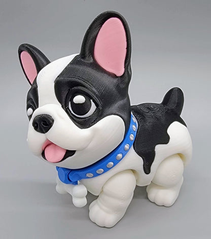 Boston Terrier & Frenchie Puppy