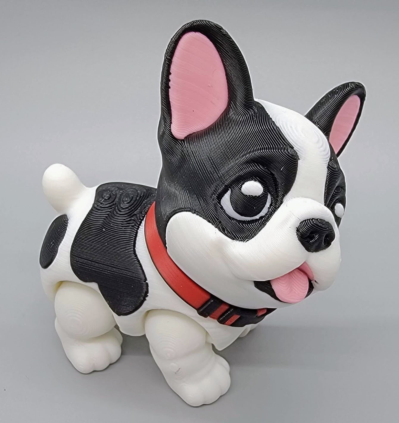 Boston Terrier & Frenchie Puppy