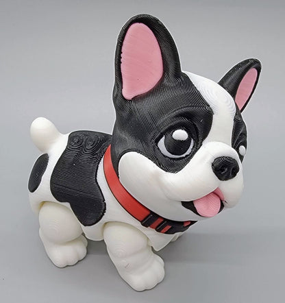 Boston Terrier & Frenchie Puppy