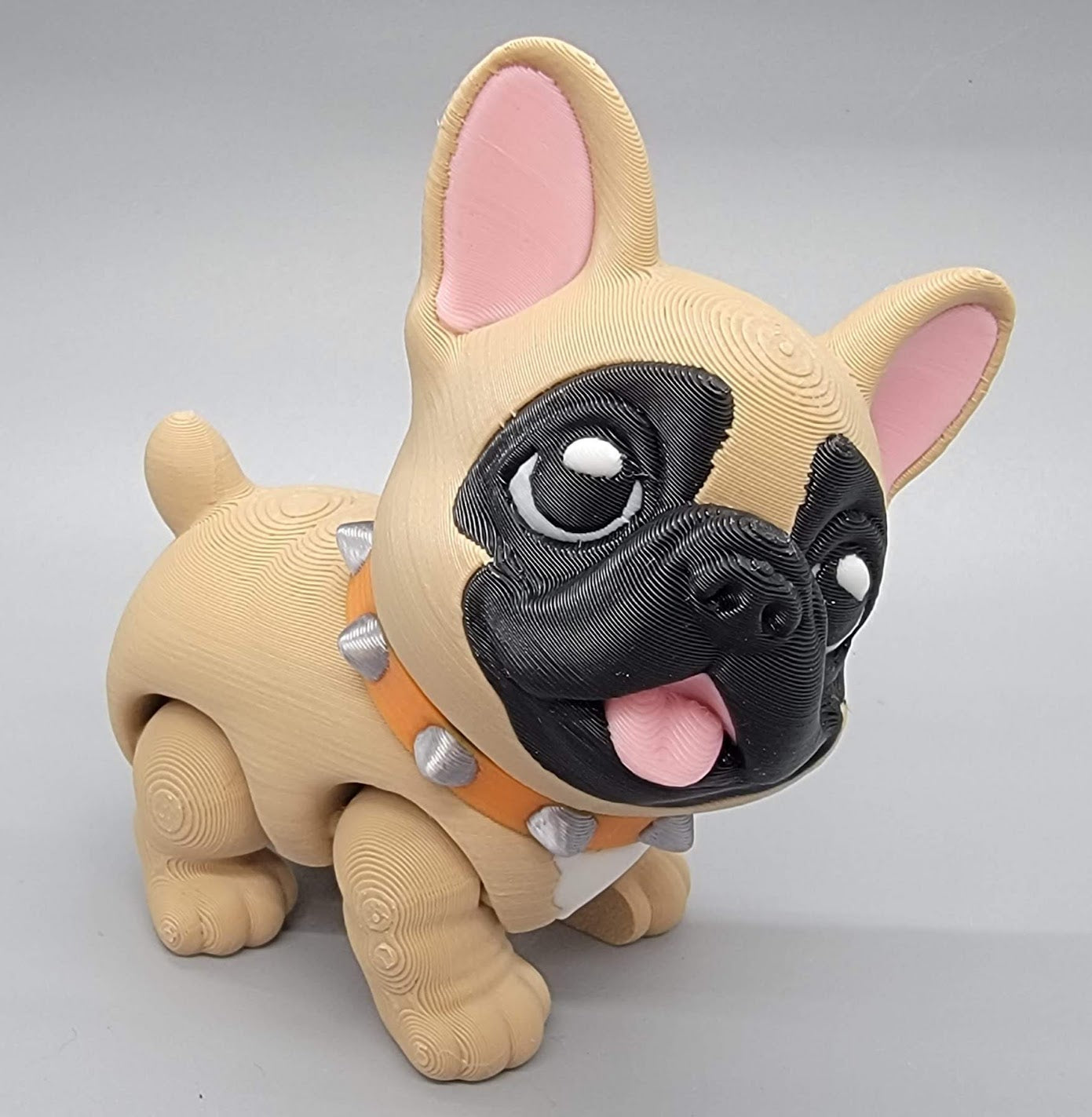 Boston Terrier & Frenchie Puppy
