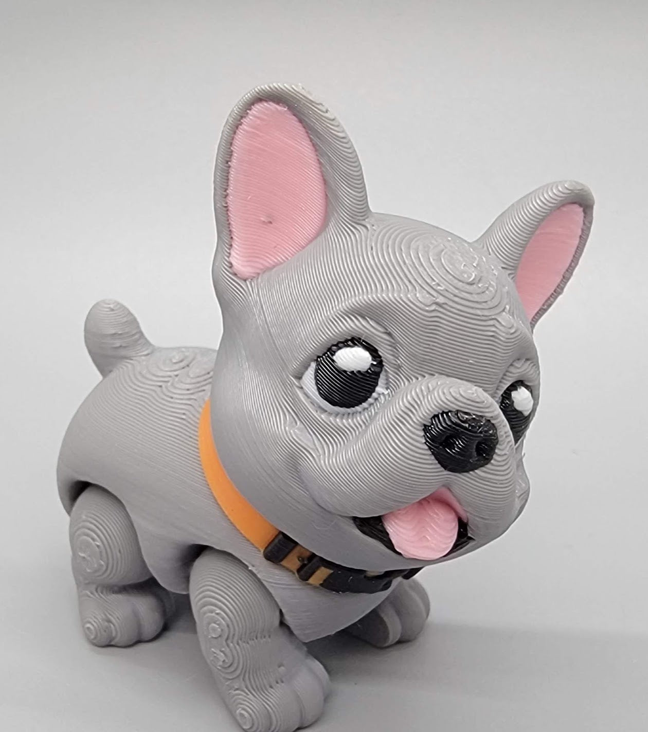 Boston Terrier & Frenchie Puppy