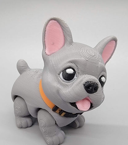 Boston Terrier & Frenchie Puppy