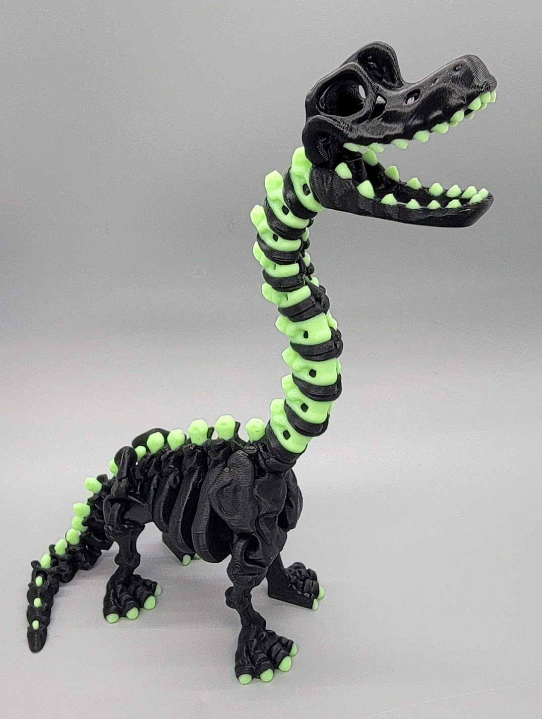 Flexi Brachiosaurus Skeleton