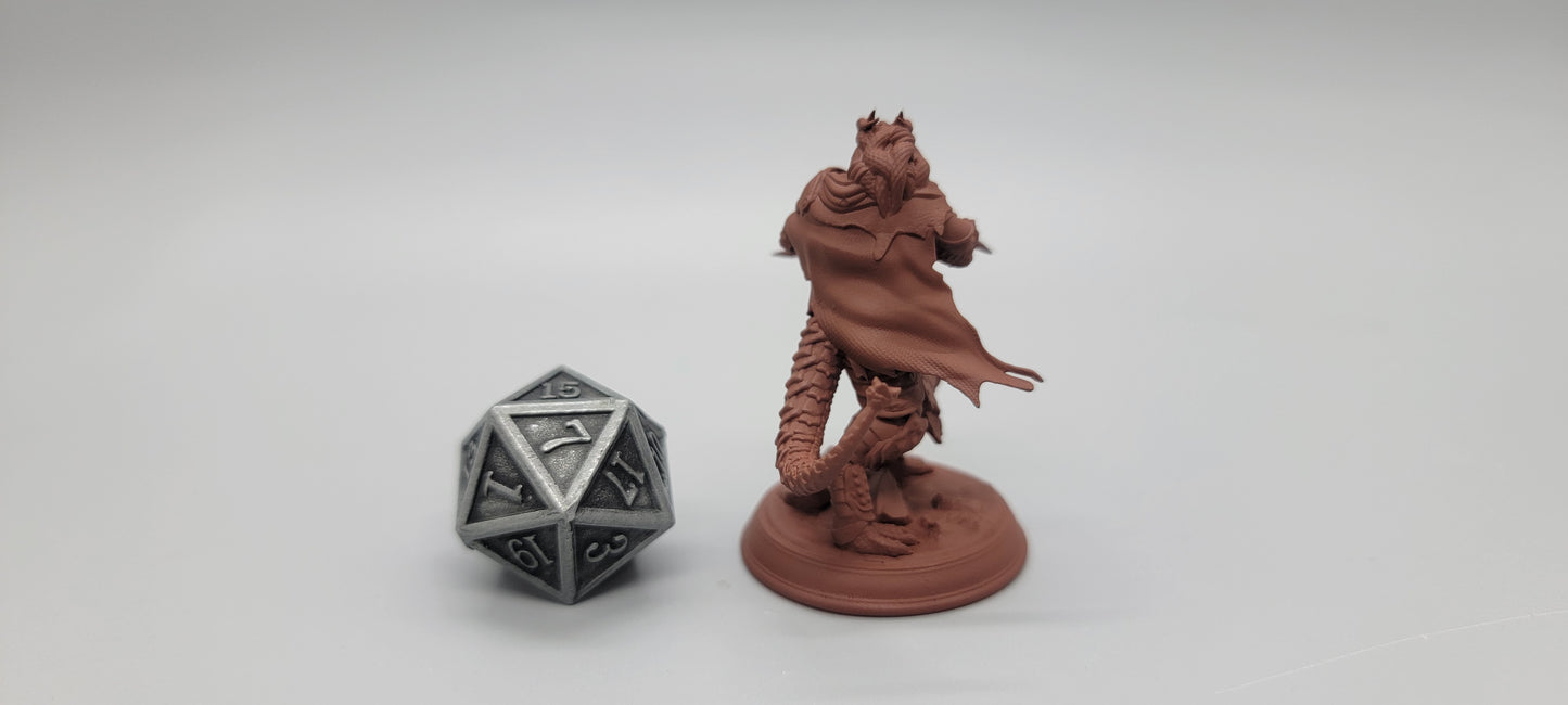 Umbrascale - Draconic Rogue Resin Miniature