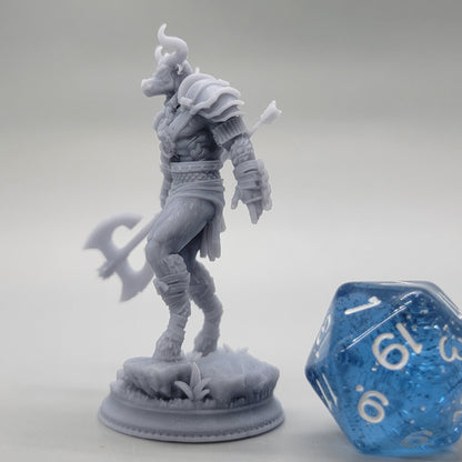 Minotaurs of the Labyrinth’s Depths Resin MIniature