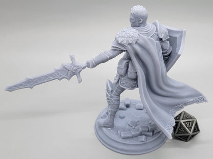 Lizarin Nordic Nature Paladin