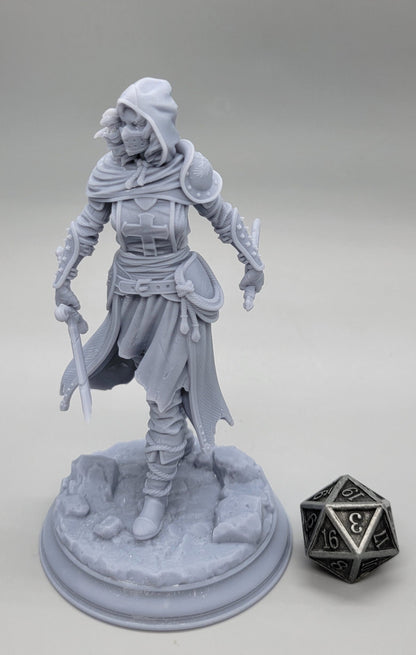 Delyna ro Unviel Blade of Justice | 32mm & 75mm Resin Miniature | DM Stash