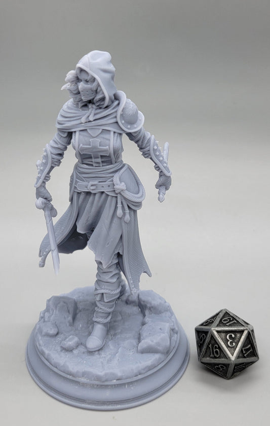 Delyna ro Unviel Blade of Justice | 32mm & 75mm Resin Miniature | DM Stash